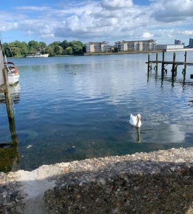 Apartment, Stylish 2 bed Riverside House, 2 Kingsize beds, Free Parking