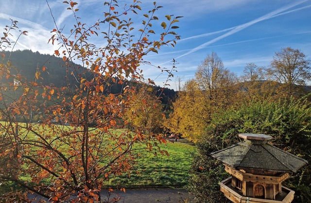 Apartment 'Villa Schwarzwaldblick'