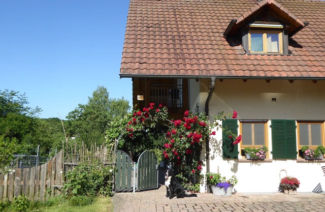 Appartement Waldblick