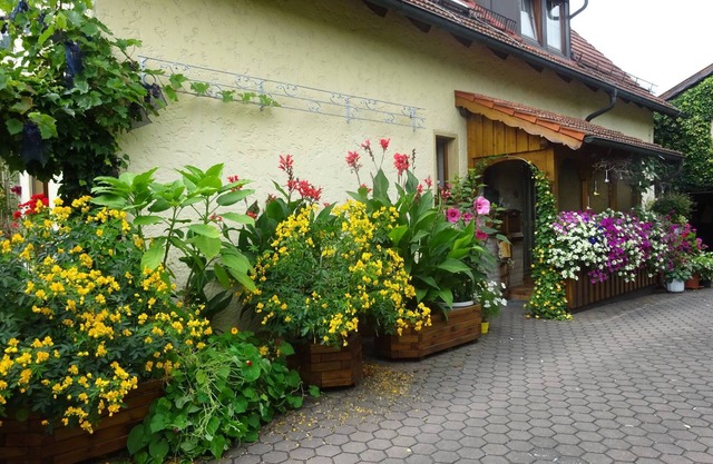 Appartement "Wassergartenparadies" avec terrasse partagée, jardin partagé et Wi-Fi