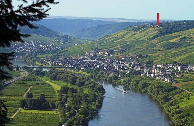 Appartement avec jardin et vue sur la rivière