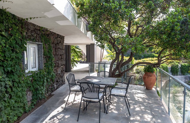 Apartment with terrace and direct access to the sea. Shared pool. Conchiglia