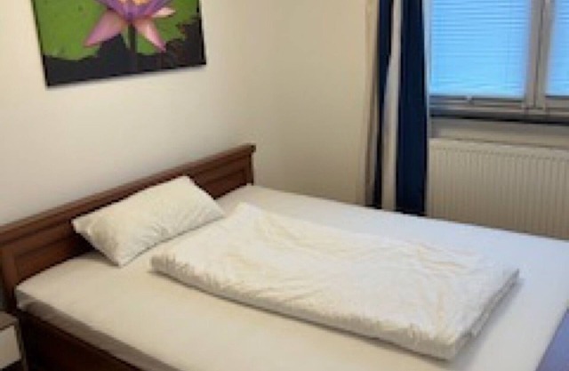 Appartement 'Zum Grünen Baum' (Le soleil vert)