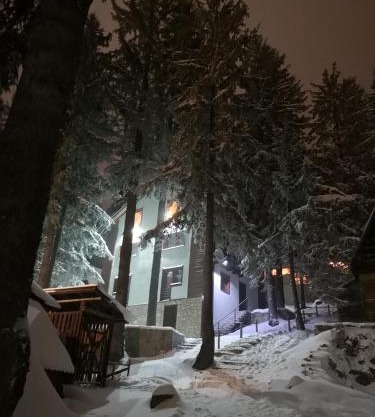 Apartments Cosic