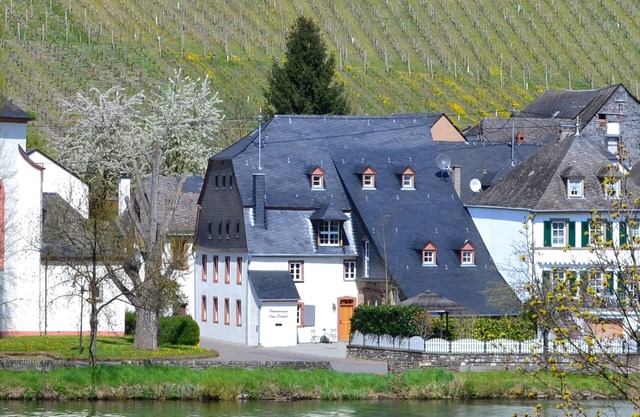 Apartamentos Dienhart - Piesport / Mosel - Apartamento Saar (No. 2)
