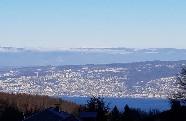 Appart 4 pers - Vu panoramique - Station - Thollon les mémises - Evian