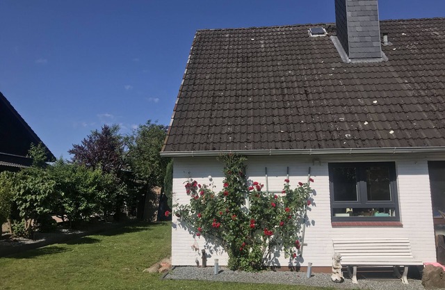 Appartement Fernsicht / Wangels / Bungsberg / Ruhe / Wandern / Hohwachter Bucht