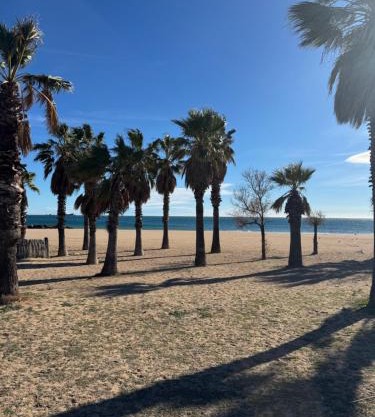 Appartement Port-Fréjus