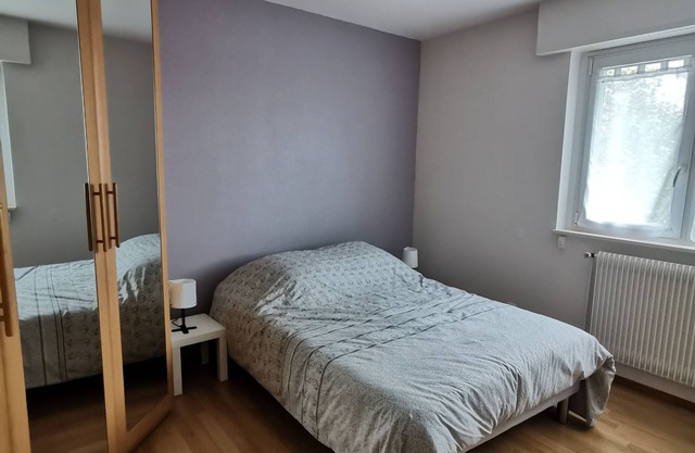 Appartement Spacieux ,calme et Proche du Centre. Idéal Pour Visiter L'alsace