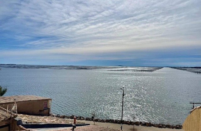 APPARTEMENT VUE MAGNIFIQUE ETANG DE THAU. LINGE DE MAISON FOURNI, ANIMAUX ADMIS
