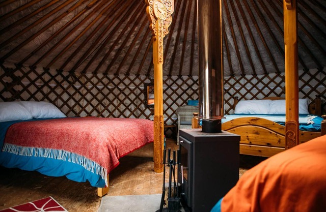 Apple Dog - A luxury spacious dog friendly Yurt in stunning 62 acre estate near Newquay