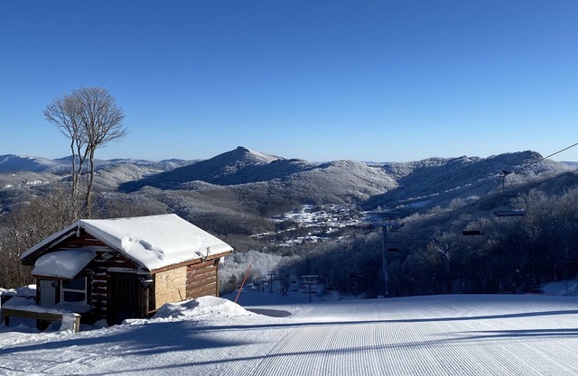 APPresSki - 5 bed Ski in Ski out - 50 Steps to Ski Sugar Mountain Slopes