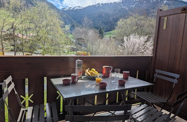 Appt SUD vue Pistes 6/7 personnes 250M pistes Praz sur Arly