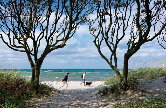 apartment SUN RESIDENCE - Enjoy your vacation on the beautiful island of Poel.