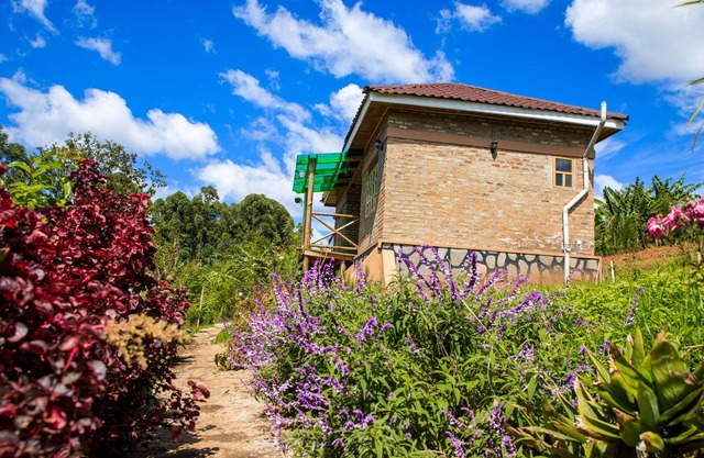 Apuuli Safaris & Cottages