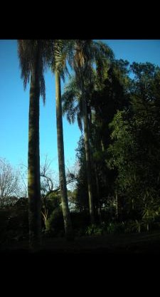 Arami Lodge