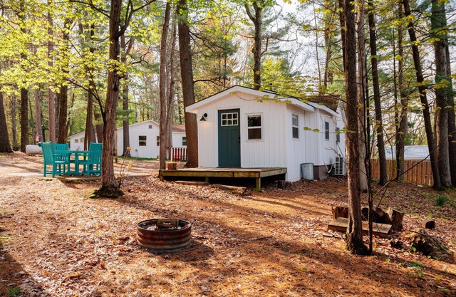 Cozy Cottage on Arbutus Lake w/Pontoon Rentals