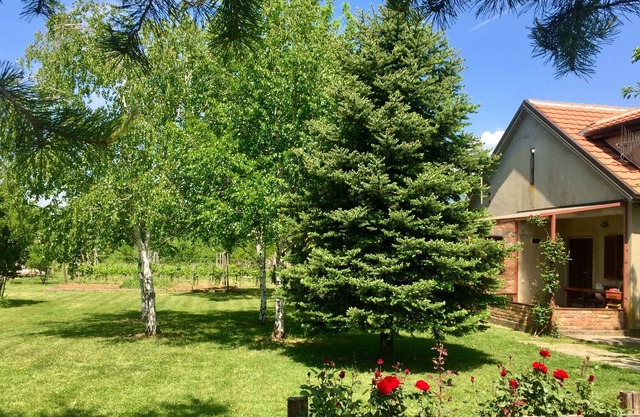 Ranch d'artiste avec vignoble, piano, kayak, vélos et beau jardin.