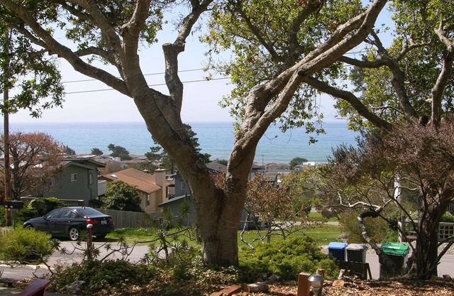 Oceanview Cottage de l'artiste dans la belle Cambria, Californie