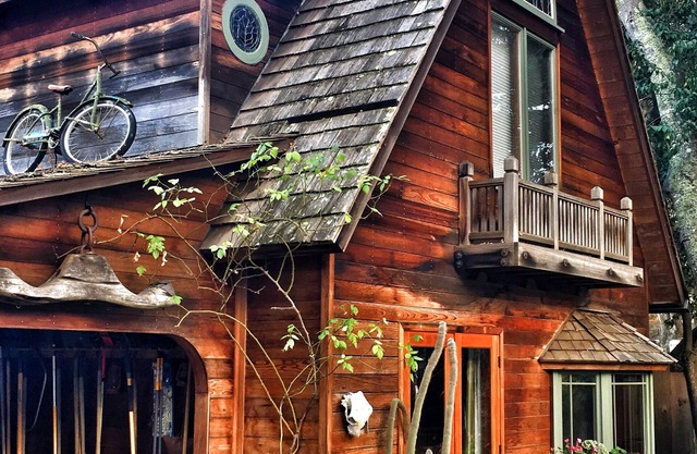 Artist's Treehouse Studio Apartment