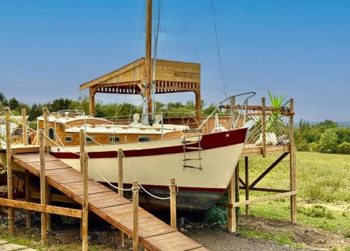 Asila's Ark