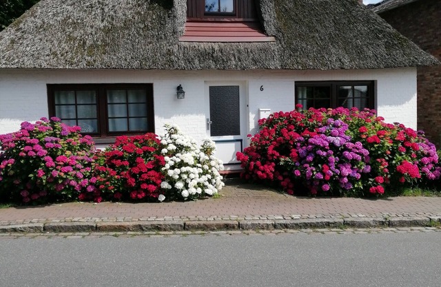 A la maison, entre les mers - couple d'artistes loué leur maison d'été.