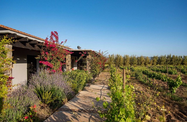 Atika Retreat - Vinyard Villa