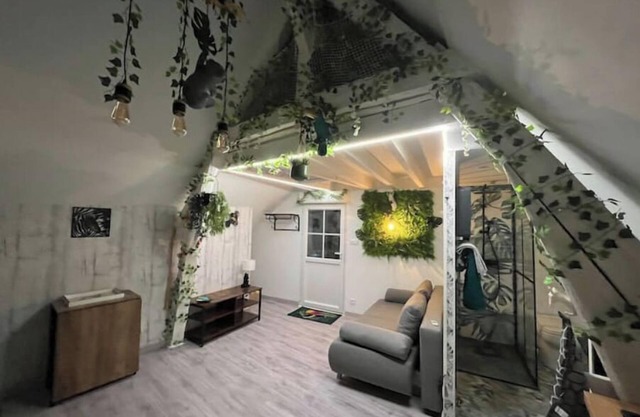 Studio sous comble atypique avec extérieur