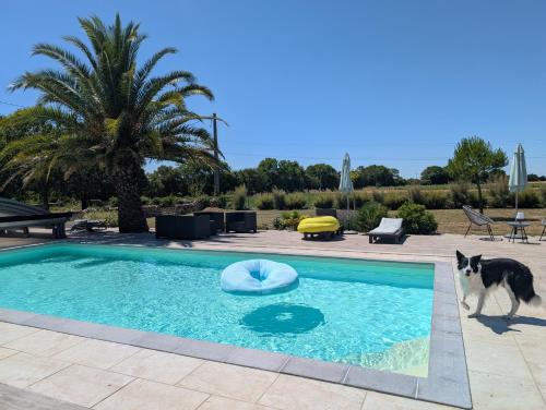 Au domaine de Gigie