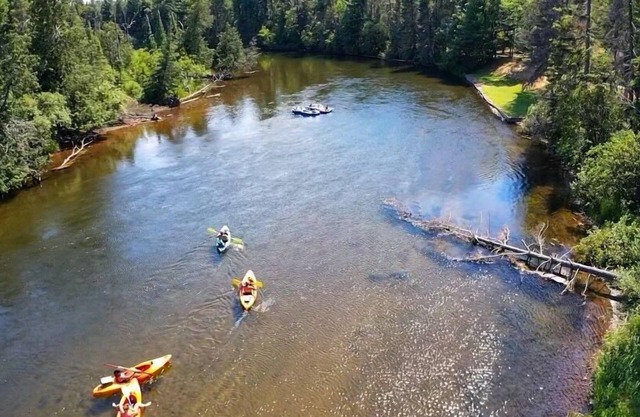 Au Sable River Cottage 3 bedroom w/ indoor fireplace