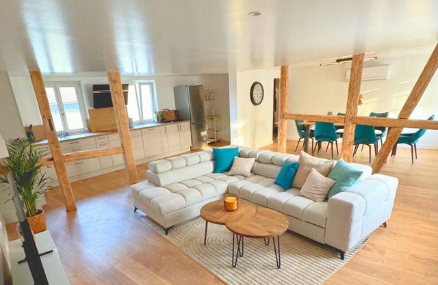 Au Soleil: Grand appartement chaleureux