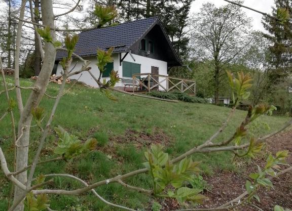 Auerberg Blick