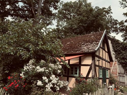 Auszeit vom Alltag in urigem Ferienhaus in ruhiger, idyllischer Natur im Dümmer-Weserland