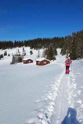 Authentic Cabin Near Risgrånnbakken