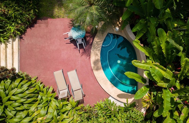 Geckoes Lodge: Rainforest Barefoot Luxury & Plunge Pool Near Gorgeous Beaches