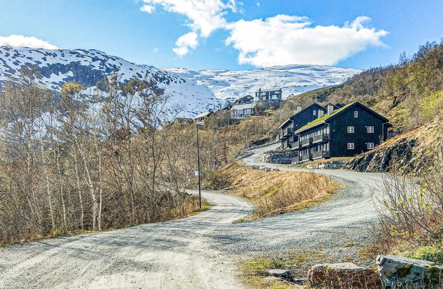 3 bedroom accommodation in Røldal