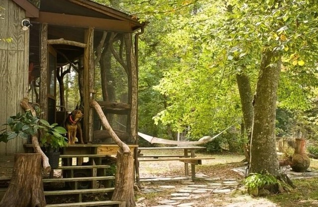 Aylett River Paradise: Un joyau fantasque conçu pour s'harmoniser avec la nature.
