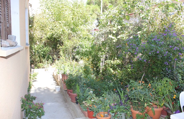 Ayvalık Pansiyon