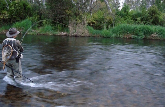 Azalea Cottage - Rivière Tumut