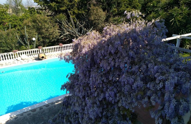 B&B La Marchesa