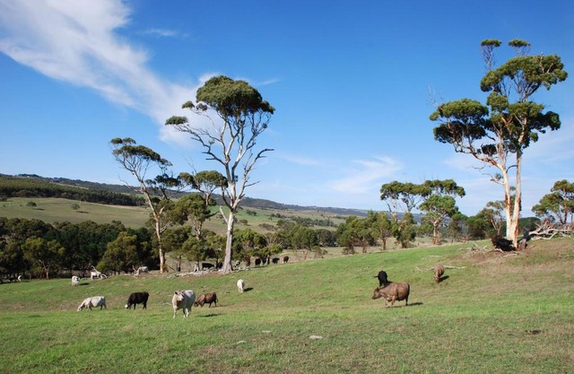 Back Valley Farmstay Bed and Breakfast