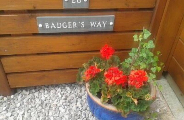 Badger's Way - Au cœur du Lake District anglais - Badger Watching Here