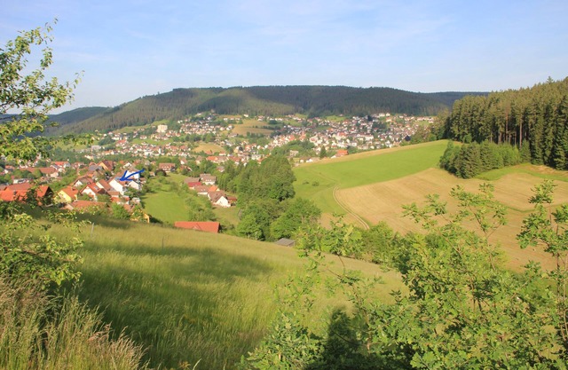 Baiersbronn, Schwarzwald, Aussicht, 2 Zi., Sonne, Balkon, Ruhe