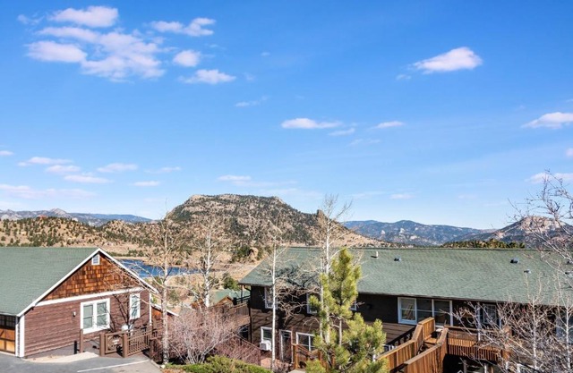 Baker Mountain 29C Condo