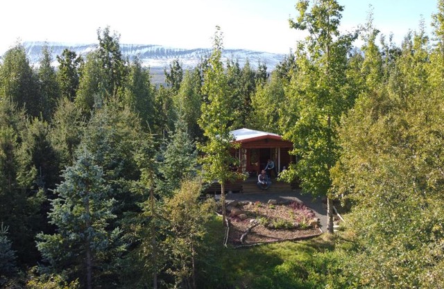 Bakkakot 1 - Cozy Cabins in the Woods