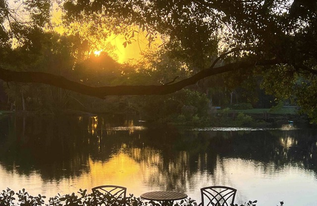 Bali at the Bay ~ A Tranquil Sarasota Retreat close to downtown & beaches