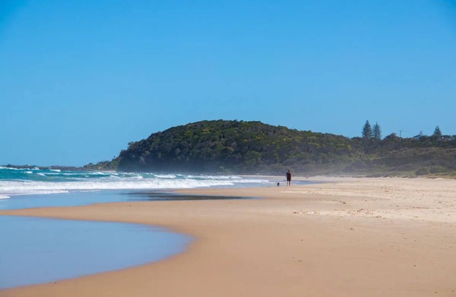 Ballina Beachside Dog Friendly Apartment & Beach