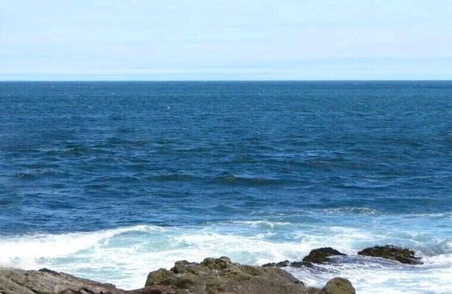 Bar Harbor Oceanfront - Vues panoramiques sur l'océan. Les enfants et les chiens l'adorent!