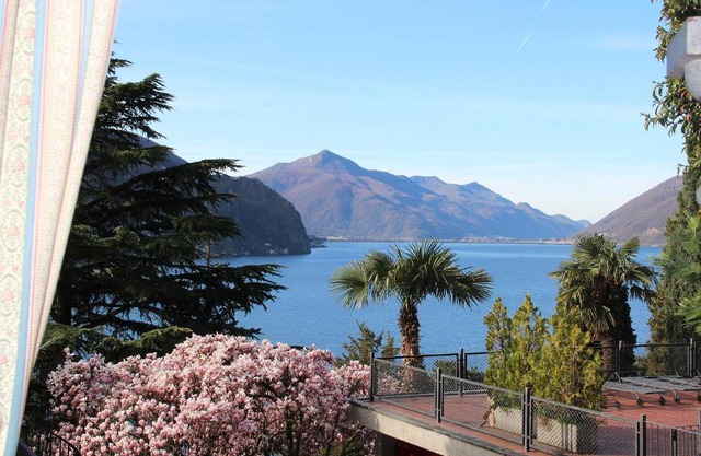 Barony Olive mit Hund