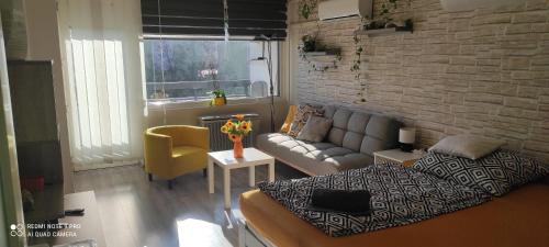 Baross apartman